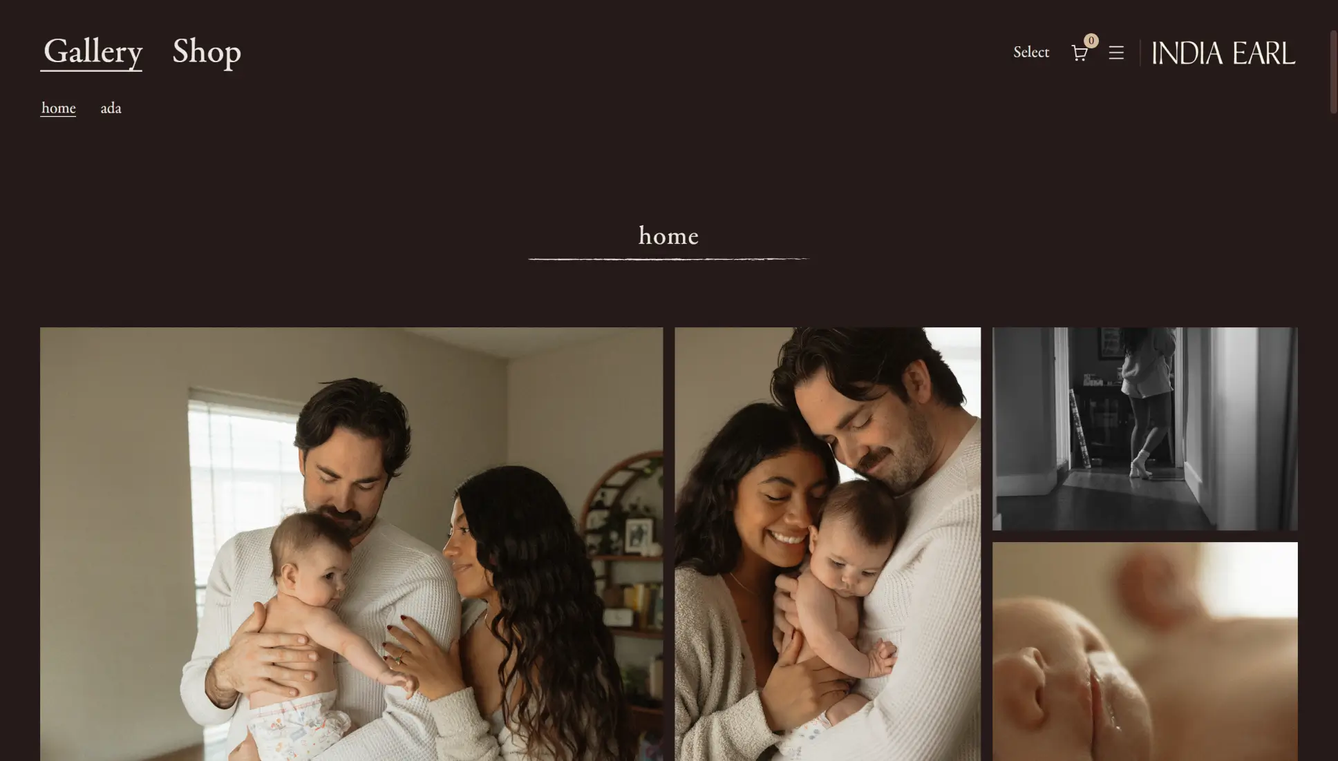 Deep brown Pic-time gallery theme with a lowercase home heading and family portrait grid